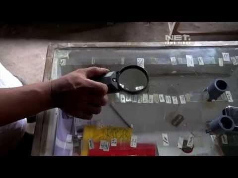 NET JATIM - Seorang Pelukis Unik di Ngawi melukis diatas Biji Wijen