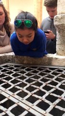 This video of a girl singing into a well has gone viral because, well, just listen