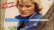 Johnny Hallyday_La fille de l'hiver (1980)(GV)