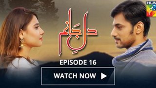 Dil e Jaanam Episode 16 Hum TV Drama - 16 June 2017