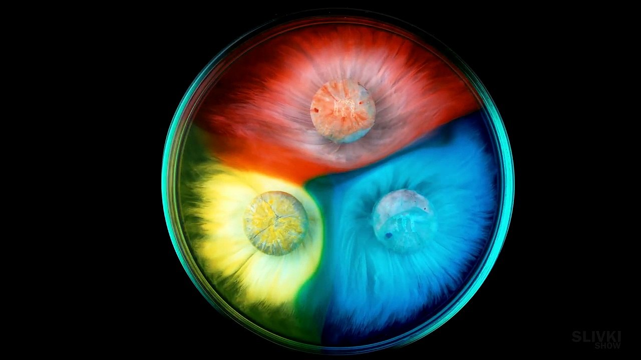 Очень красивое видео..Very beautiful video.