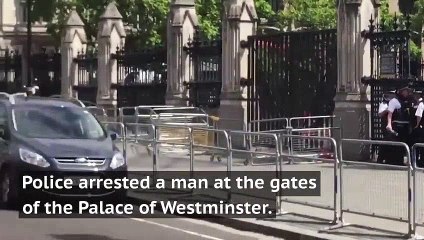 'Man with knife' arrested outside Palace of Westminster