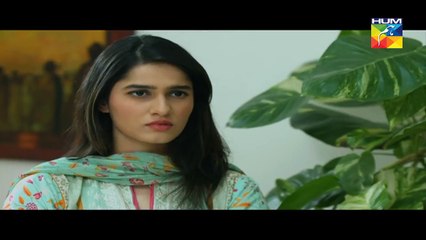 Woh Aik Pal Episode 15 HUM TV Drama - 17 June 2017