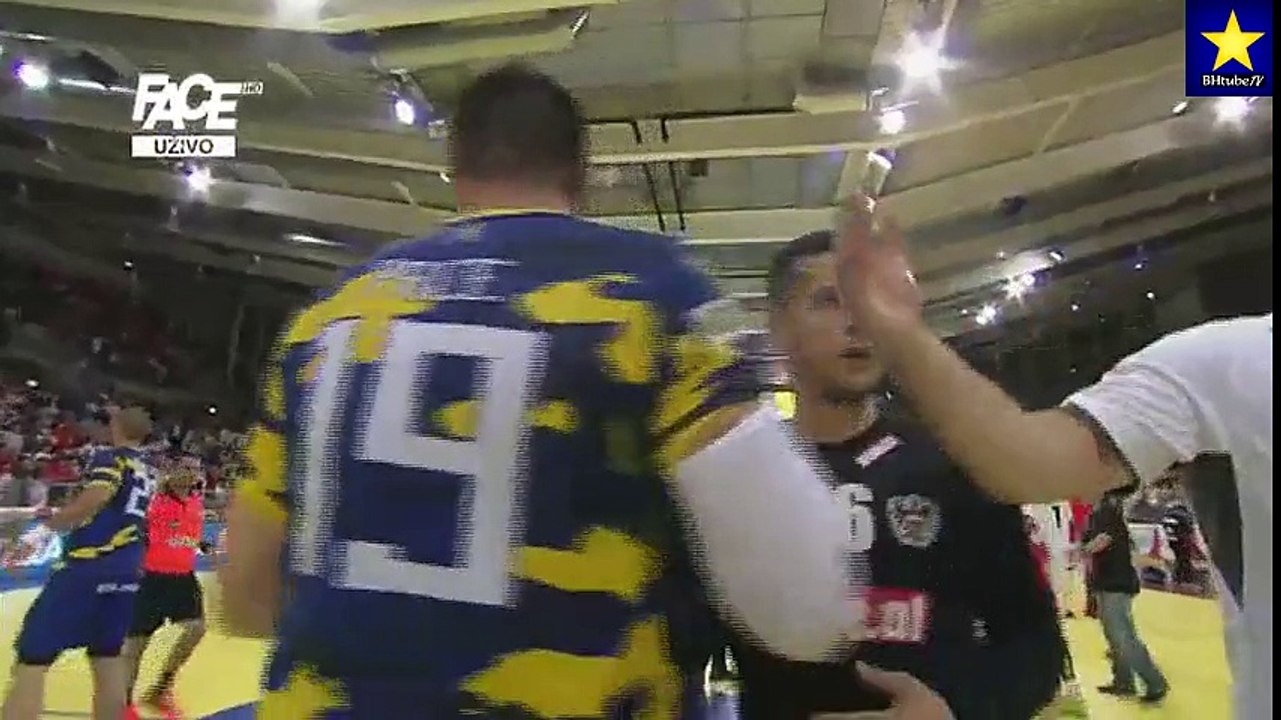Austrija - BiH / Podrška s tribina i pored poraza (17.6.2017)