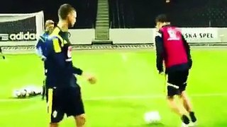 Zlatan Ibrahimovic Amazing Goal by Sweden