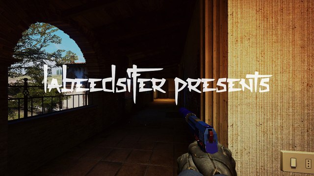 HS vs. iGame (USP ACE)