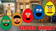 Finger Family Sesame Streets Elmo Bert and Ernie Surprise Eggs Nursery Rhyme Song