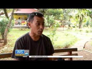 IMS - Terapi Pengobatan Sengat Lebah