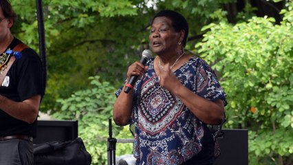 Chicago Blues Festival on 6-9-17 at 2:27PM