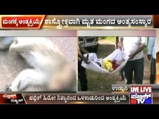 Udupi: Monkey Electrocuted On Electric Pole, Localites Finish Last Rites