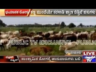 Mantralaya: Viral Disease Kills Over 10 Cows & 1 Horse Overnight