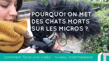 Pourquoi on met des chats morts sur les micros ?