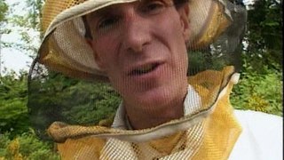 Bill Nye, The Science Guy - S 2 E 11 Insects