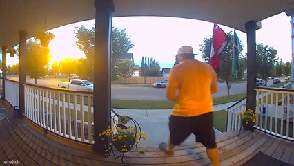 Group of Skunks Startles Man