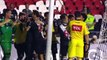 Vasco 1x0 Avaí  Brasileirao  2017 8ª rodada 1º turno gols melhores momentos