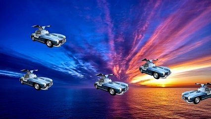 IF CARS WERE ANIMALS