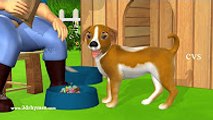 Bingo Song _ Bingo Rhymes For Children   More 3D Animation Nursery Rhymes