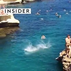 A man with his Dog so crazy watch now