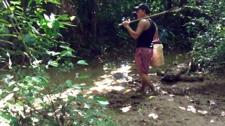 Fishing Net Fishing in The River Cambodia Net Fishing Fish Khmer Cast Net Fishing #200