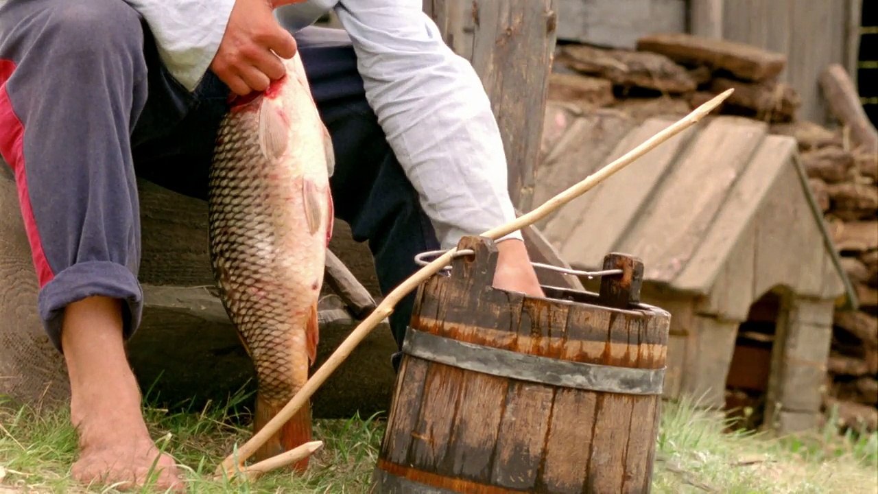 Тихий Дон. 1 cерия (2015) Драма, экранизация  Русские сериалы