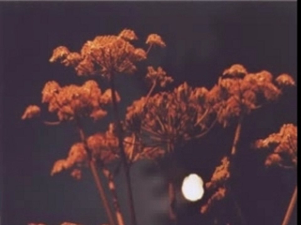 Ridan - L' agriculteur