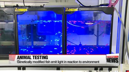 Small creatures play big roles in animal experimentation