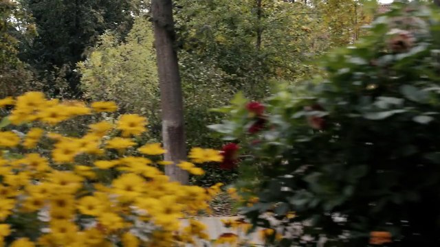 Черная кошка. Серия 9 (2016) История, криминал Русские сериалы