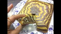 Eggless Zebra Cake Recipe