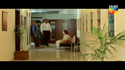 Woh Aik Pal Episode 15 HUM TV Drama - 17 June 2017(380)