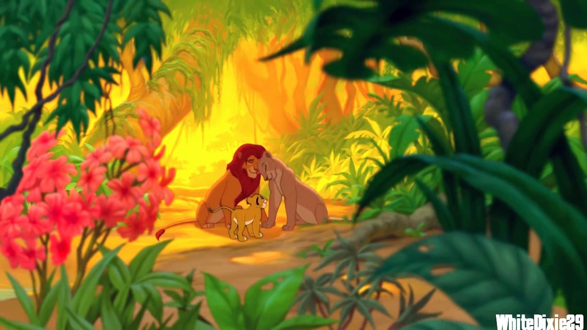 The Lion King 4 Kopa
