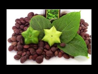ၾကယ္ပဲစိုက္ပ်ိဳးေရး (Part_1)