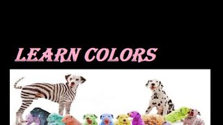 Learn Colours For Toddlers