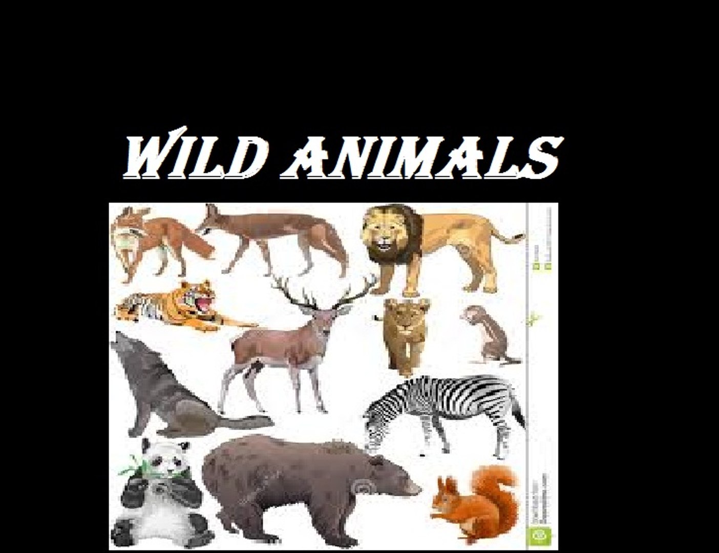 Learn Wild Animals For Baby