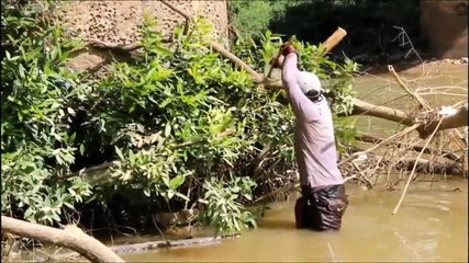 Cari Ikan Tradisional #5 - Cara Menangkap Ikan di Sungai Dengan Botol