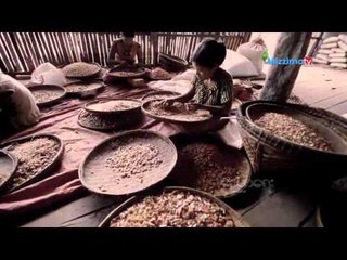 ပဲပုပ္ပင္စိုက္ပ်ိဳးေရး (Part_2)