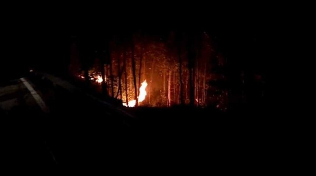 Les images du feu de forêt meurtrier au Portugal