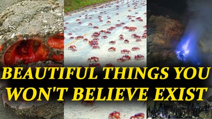 Astonishing Beautiful Things that exist on Earth | Boldsky