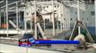 Perbaikan Fasilitas Pelabuhan Merak Terus Dilakukan Jelang Arus Mudik -NET24