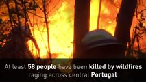 Over 58 dead as wildfires sweep through Portugal