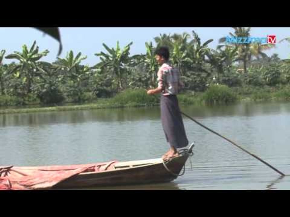 ငါးအစာေတာင့္စက္႐ုံတစ္ခ်ိဳ႕ ရပ္နားထားရတာဘာေၾကာင့္လဲ