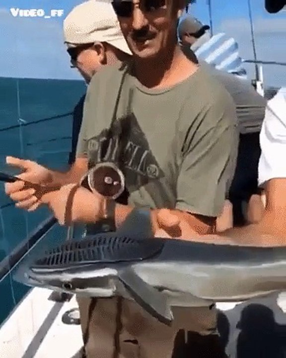 bu nasıl balık