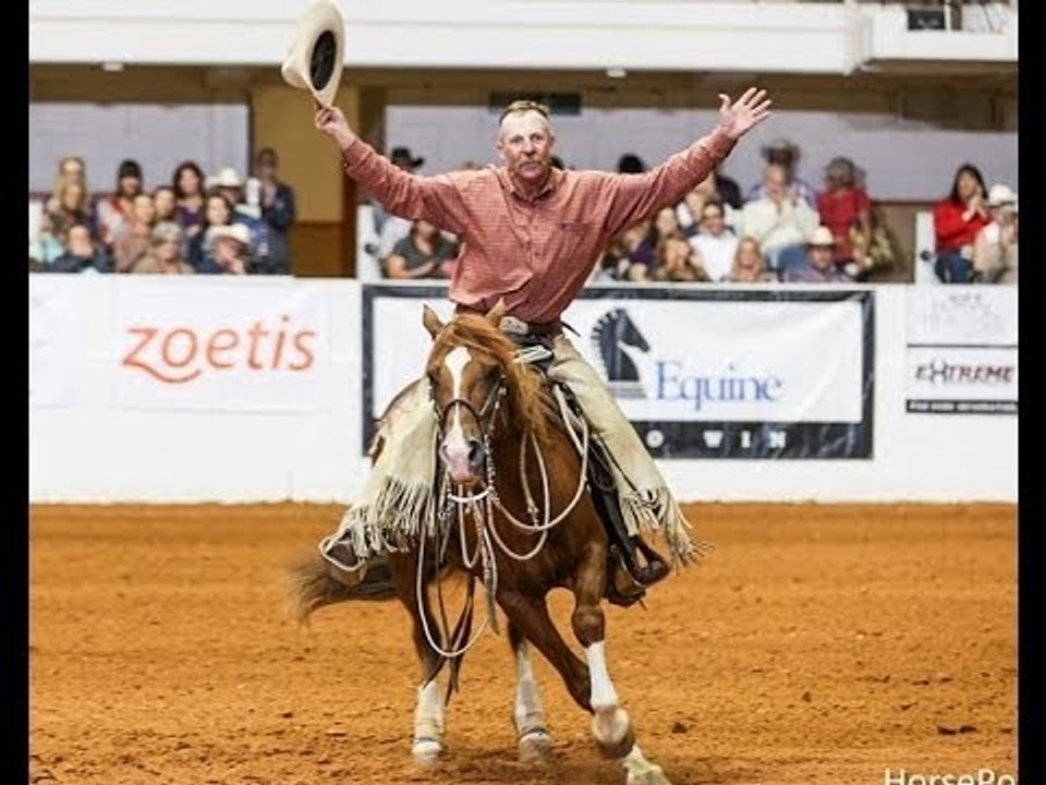 Domando Cavalos - Mustang Millionaire faltando 15 dias