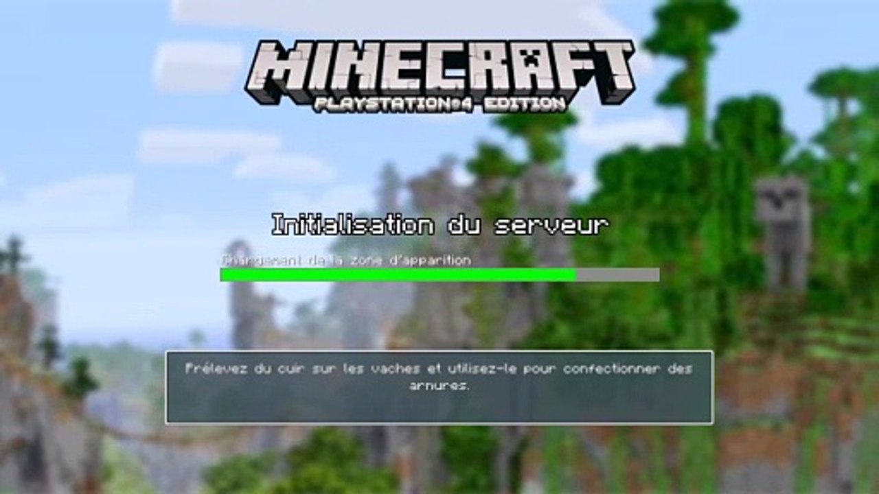 Minecraft survie solo (14)