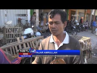 Penjual Ayam Kampung dadakan - NET12
