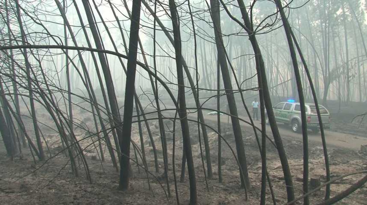 Portugal : un violent incendie fait plusieurs dizaines de morts