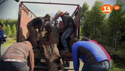 Lugares que Hablan 2017 - La desconocida Costa de Carelmapu -pt2