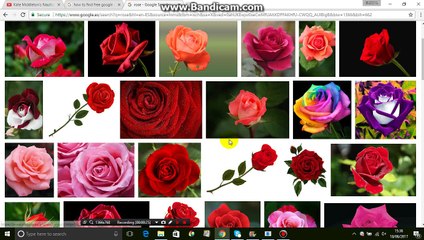 How to find  google images by file type