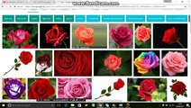How to find copyright free images with Google Image Search