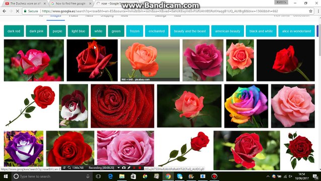 How to find copyright free images with Google Image Search