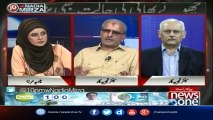 Itnay Ehtesab Hue Sharif Family Kay Khilaf Kabhi Kuch Sabit Nahi Huwa Ab Kya Hoga, Says Sala Zaafar